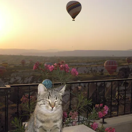 Guest house Has Uchisar