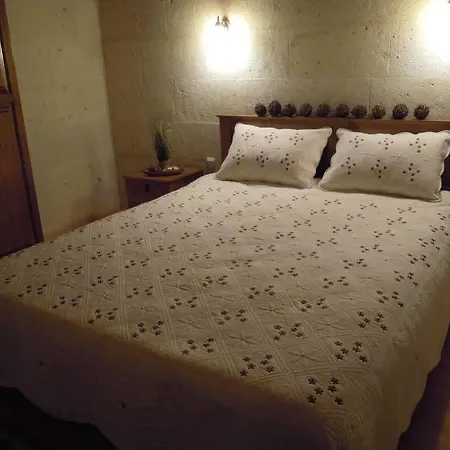 Has Guest house 3*
