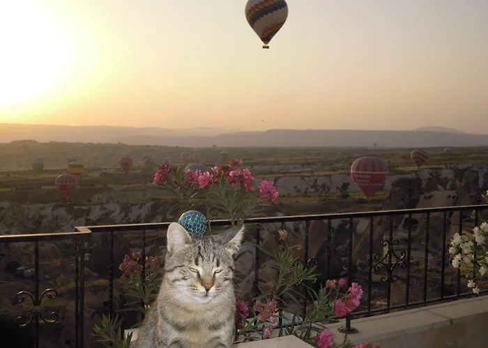 Vendégház Has Üçhisar